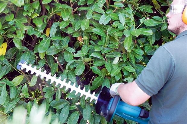 Аккумуляторный кусторез Makita DUH 551 Z (DUH551Z) Аккумуляторный кусторез Makita DUH 551 Z (DUH551Z)